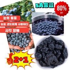 2+1 특급 무설탕 블루베리 건조과일 홈인푸드 무설탕 건블루베리 100% 건조 블루베리 무설탕, 3박스, 100g