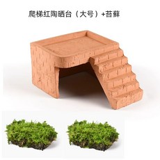 커먼머스크터틀 백 쉼터 일광욕 거북이 반수생 은신처 다이, 1개