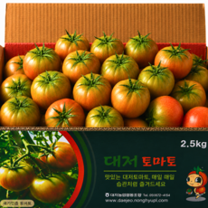 [파격할인] 부산 짭짤이 대저토마토, 1개, 2.5kg (M)