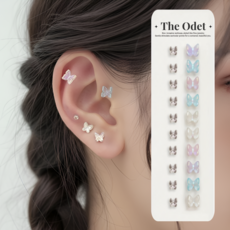 디오뎃 4세대 크리스탈 투명 나비 귀지압패치 (5mm 6mm), 나비 2종, 1개