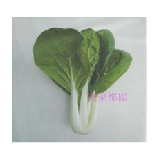 【野菜部屋】F10 松柏奶油白菜種子 3兩 (約56250粒) 葉片大 較圓 株型直立 耐病, 1包
