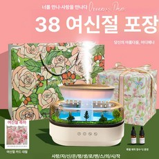미니 가습 아로마 분무기 거실 침실 대용량 조용한 사무실, 미니 38 튤립 포장 + 여신 선물 가방 2개, 기본 모델명/품번