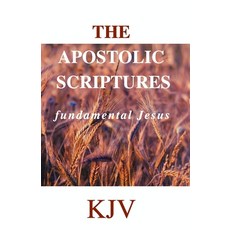 (영문도서) The Apostolic Scriptures: fundamental Jesus Paperback, Independently Published, English, 9798556613430