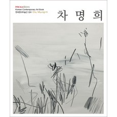 車明熙, 六角形