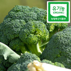 [산지직송] 유기농 햇수확 신선한 브로콜리 브로컬리 특품, 1개, 2kg