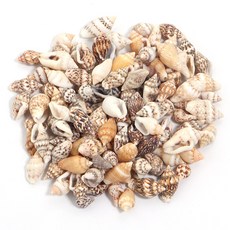 30 40 50G DIY 액세서리 펜던트 비즈 팔찌 가방 껍질 자연 체인 달팽이 쥬얼리 PHOEN 스페이서