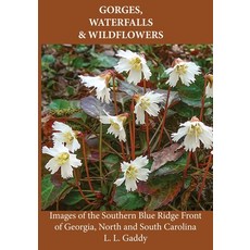 (영문도서)Gorges Waterfalls & Wildflowers Paperback, Terra Incognita Books, English, 9781638041948