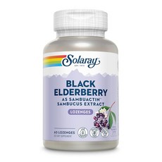Solaray - 삼부액틴 엘더베리 추출물 캔디 60개, 1, 60