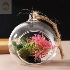 행스토어 테라리움 아크릴 용기 5쌍 유리화병, 10cm