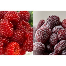 진기가득 국내산 급냉산딸기 500g x 2팩 - 냉동 베리 주스 빙수 디저트 재료, 2개