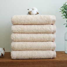 송월타월 메르디앙 40수 170g 호텔수건, 베이지, 5개