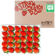 신선민국 설향 딸기 농장직송 대과, 1박스, 800g (특상)