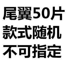 1세트 비행 구멍 펀처 O 액세서리 Hot 금속 샤프트 팁 H6z6, 일반 꼬리날개 랜덤 50매, 1개