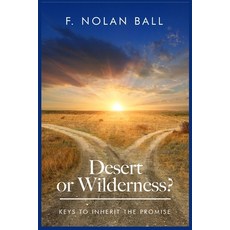 (영문도서) Desert or Wilderness: Keys to Inherit the Promise Paperback, Eyedentified Publishing Sol..., English, 9781945566172