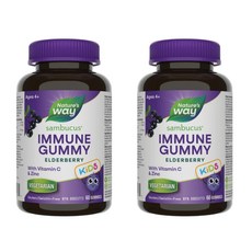 Nature's Way 네이쳐스웨이 삼부쿠스 키즈 엘더베리 감기 독감 케어 젤리 Gummies 어린이 면역력 보조 대용량 코스트코 캐나다, 2개, 60정