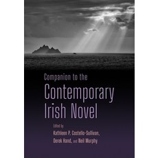 (英文圖書)Companion to the Contemporary Irish Novel 平裝版, Syracuse University Press, 英文, 平裝本