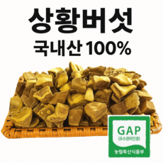 천생산 상황버섯 2년산 최상품. 직접재배. 우수 농산물 GAP 인증, 1박스, 50g