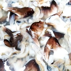 당일조업 새조개 여수 손질새조개 1kg(특품) 내장제거 생산자직송, 1개