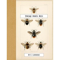 (영문도서) Vintage Prints: Bees Paperback, Createspace Independent Pub..., English, 9781720460084