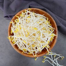 천연암반수로 키운 숙주나물, 1박스