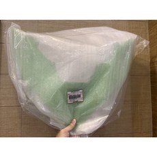 2018 Kawasaki Ninja 650 前整流罩 55028-0592-777 (綠), 1個