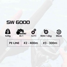 LUREER RONIN ROVA SW 海水紡車捲線器 岸拋 船拋 路亞, SW6000型
