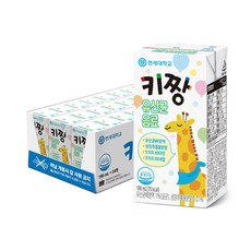 연세유업 키짱 유산균 음료 190ml 24팩