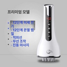 전동 두피 마사지기 제이라벨 헤어 무선 두피관리기 방수 두피마사지기 브러쉬 진동 휴대용, 디럭스 플래그십 12단계 온도 10병, 기본 모델명/품번