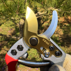 엔마 전지가위 원예 가지치기 전정가위, 1개