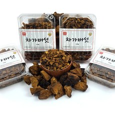 휴식공간하늘 국내에서 가공 살균 세척 믿고먹는 시베리아 1등급 차가버섯 우림전용 러시아 건차가버섯 원물, 차가버섯1팩, 1개