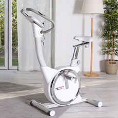 사이먼 프리미엄 바이크 RS300U