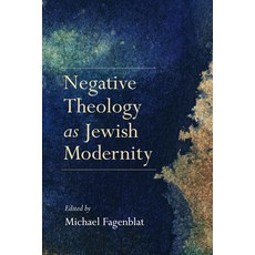 Negative Theology as Jewish Modernity Hardcover, Indiana University Press