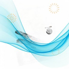 wavytalk 웨이비톡 앞머리 고데기 프로 미니 온도 조절 헤어 스트레이트너 0.7인치 JR