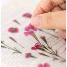 헬로라일락 꾸미기스티커 드라이플라워책갈피