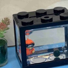 마리모 키우기 블럭 미니어항 블랙 디자인저금통