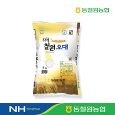 [택배출고일 당일도정] 2025년산 동철원농협 철원오대, 5kg, 1개, 상등급