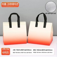 일회용 보냉백 보냉가방 은박 쿨러백 테이크아웃 손잡이, 소형 21 x 11x26cm, 50개, 베이지 그라데이션 알루미늄 포일 단열