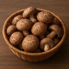 [ 자연과표고 ]생표고버섯 실속형 (중), 1개, 3kg