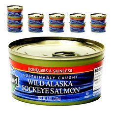 와일드플래닛 와일드 알래스카 삭아이 살몬 본레스 & 스킨레스, 170g, 12개