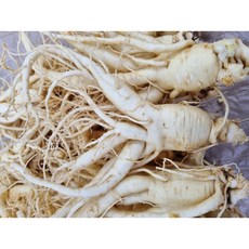 6년근 세척 인삼 1kg A급난발 수삼 6년근풍기인삼도매 풍기인삼시장 현대만석인삼사, 500g, 2개