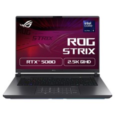 에이수스 2025 ROG 스트릭스 G16 코어Ultra9 지포스 RTX 5080, Eclipse Gray, 1TB, 32GB, Free DOS, G615LW-S5027