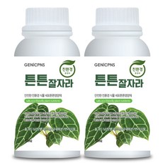 식물영양제 관엽식물 화초 세포조직강화 칼슘 마그네슘 광합성촉진성분 제닉피앤에스 친환경 고농축 화초영양제 튼튼잘자라, 2개, 500ml