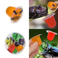 장수풍뎅이 사슴벌레 전용 곤충젤리 16g 10개입 장수풍뎅이젤리 사슴벌레젤리 곤충사료