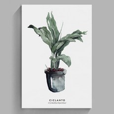 北歐風植物裝飾無框掛畫，適用於客廳、餐廳、房間，民宿禮物首選，水彩風格掛畫, 天堂鳥(超過5個請下宅配)