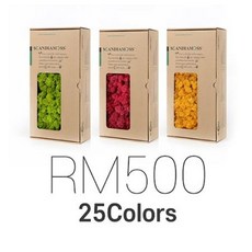스칸디아모스 500g 공기정화식물 천연이끼 모스, 1개