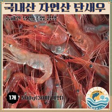 국내산 자연산 단새우 (대) 아마애비 홍새우 주문진 직송 동해안 조업 급냉 횟감용, 1개, 500g(30미 내외)