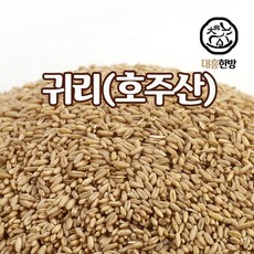대흥한방 귀리 500g 캐나다, 1개