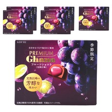LOTTE 日本樂天 頂級GANA水果巧克力 網瓜 65g 6入 日本直送, 6個