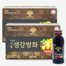 동화약품 부채표 가을생강쌍화, 120ml, 20개