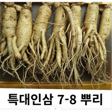 인삼 6년근 금산인삼 수삼 특대 1kg 8-10뿌리, 1개